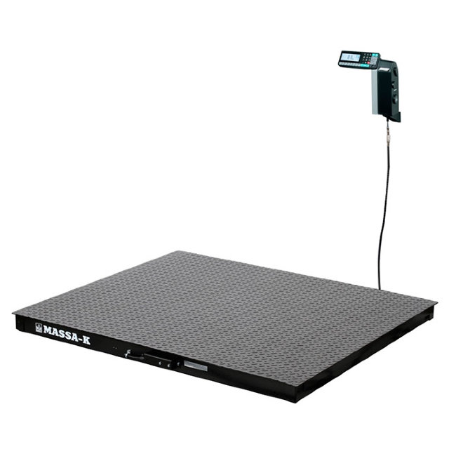 Весы 4D-PM-10/10-500-RL в Челябинске