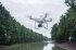 Сельскохозяйственный квадрокоптер DJI Phantom 4 мультиспектральный в Челябинске